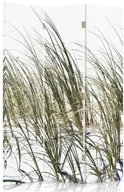 CARO Paraván - Grass On The Beach | trojdielny | obojstranný 110x150 cm