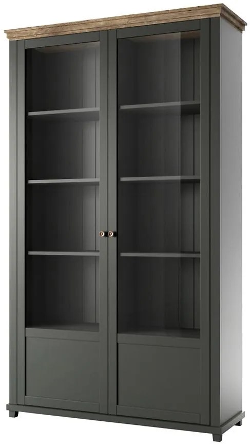 Vitrína 2D Evora 13 Dub Lefkas/Zelená