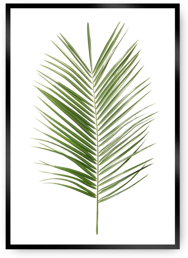 Plagát Palm Leaf Green