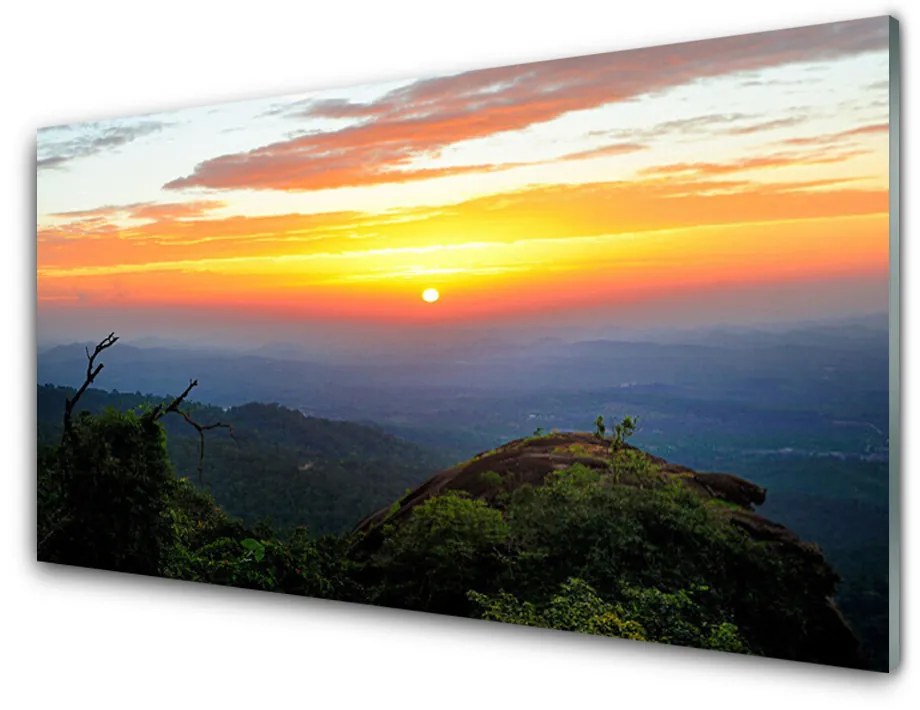 Obraz na akrylátovom skle Hora les príroda 100x50 cm