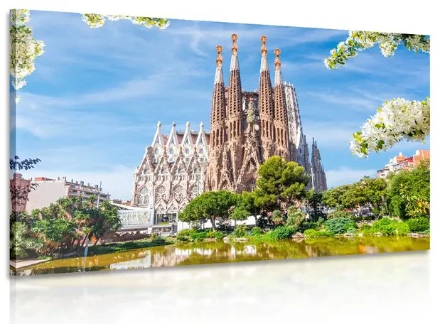 Obraz katedrála v Barcelone