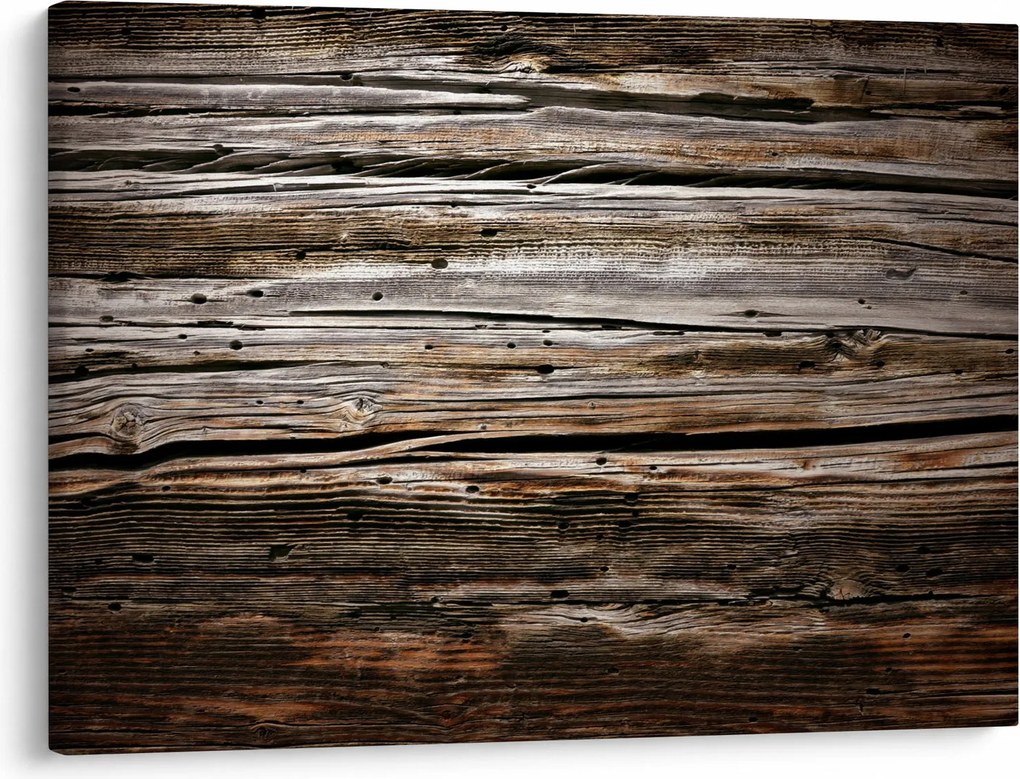 Obraz - sezónne drevo (70x50 cm)