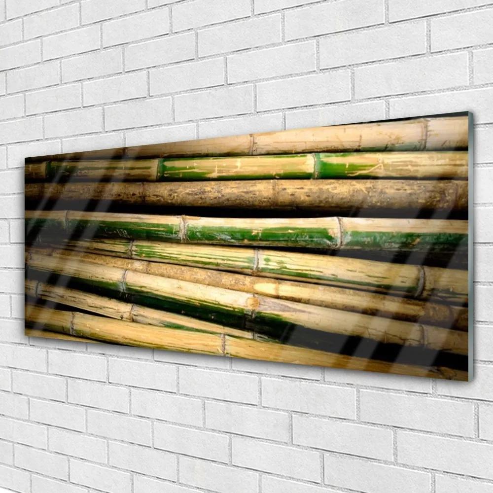 Obraz na akrylátovom skle Bambus rastlina príroda 125x50 cm