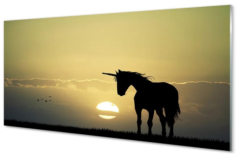 Obraz na akrylátovom skle Pole sunset jednorožec 140x70 cm