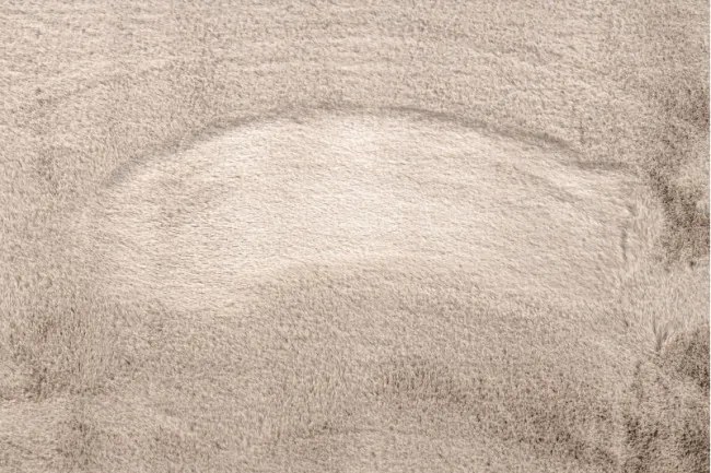 Koberec BUNNY taupe béž