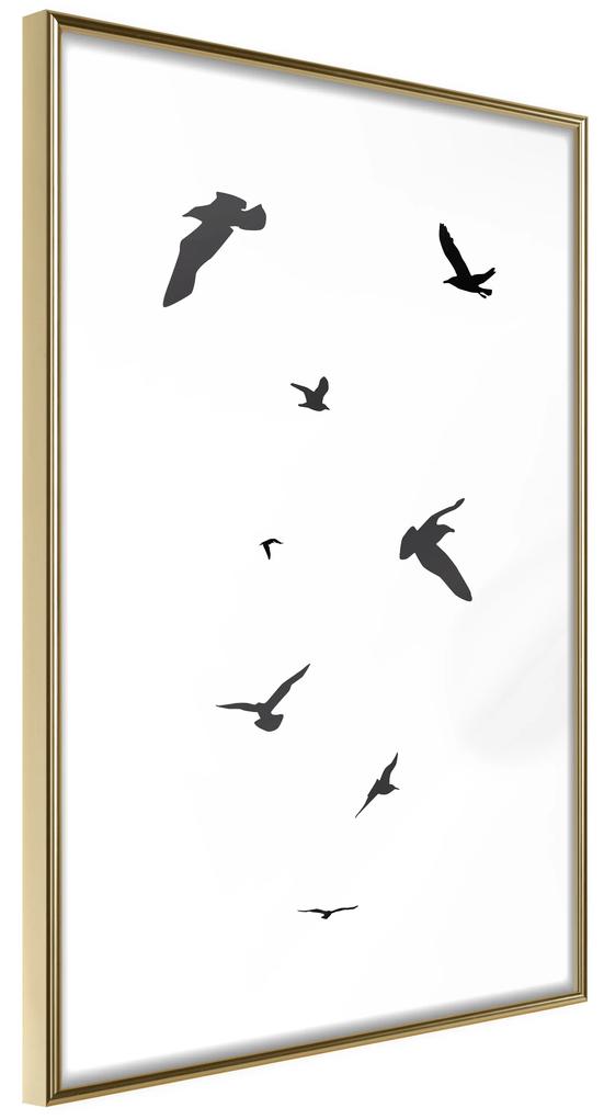 Artgeist Plagát - Evening Flight [Poster] Veľkosť: 30x45, Verzia: Čierny rám s passe-partout