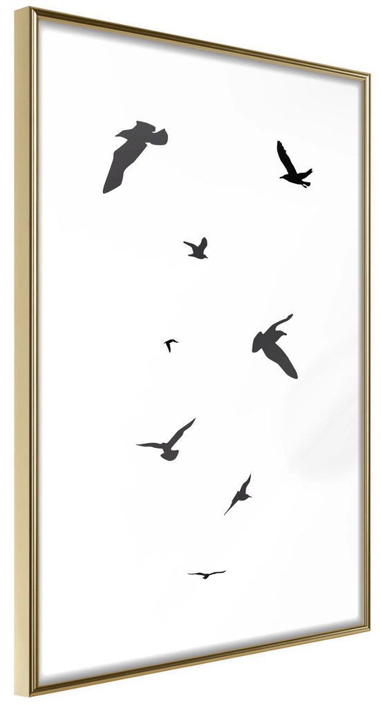 Artgeist Plagát - Evening Flight [Poster] Veľkosť: 40x60, Verzia: Zlatý rám s passe-partout