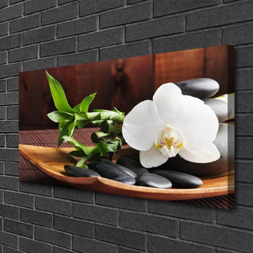 Obraz Canvas Kamene zen biela orchidea 140x70 cm