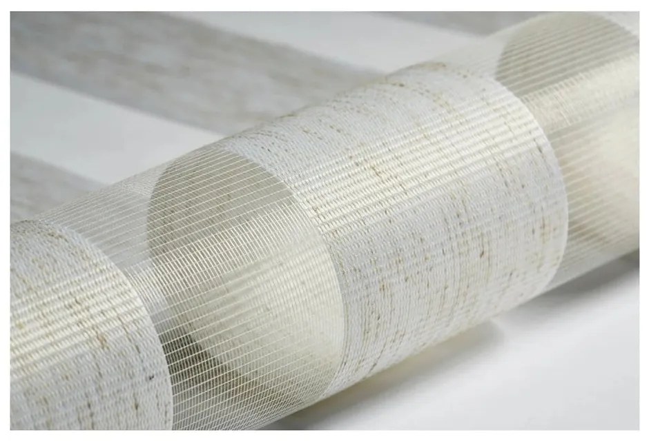 Roleta deň a noc v prírodnej farbe 42,5x150 cm Zebra Silvalin – Gardinia