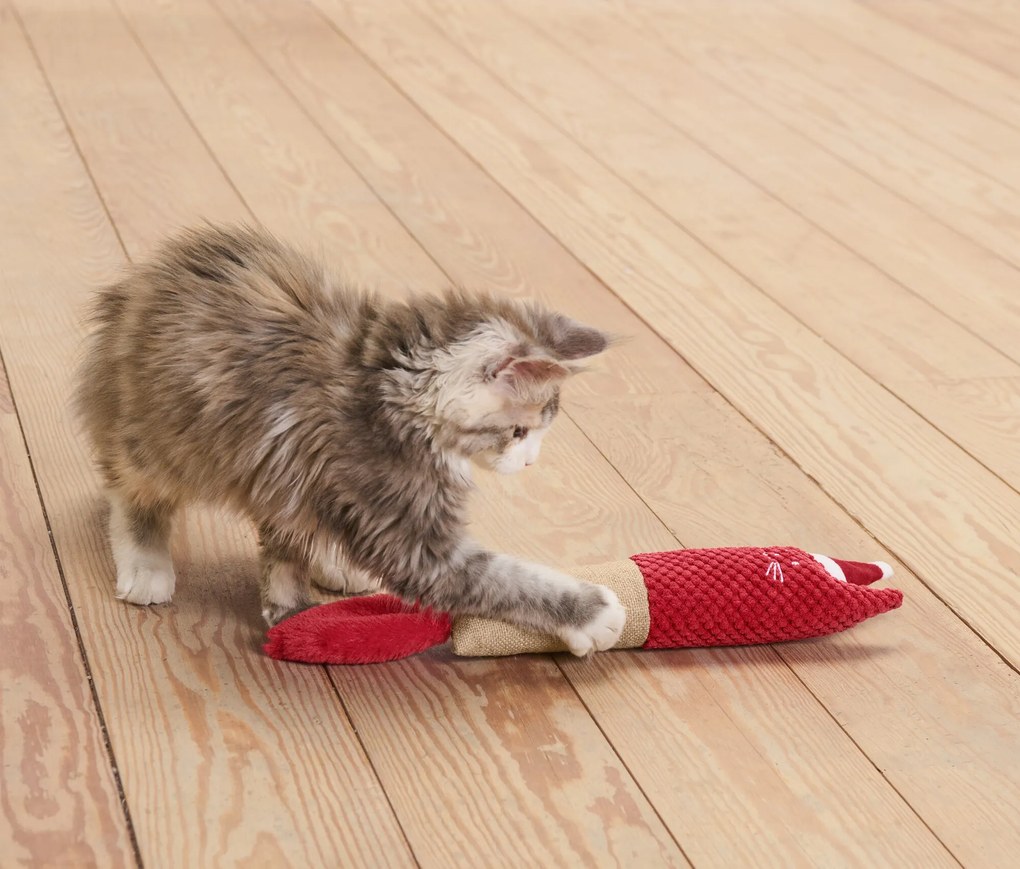 Valček na hranie pre mačky