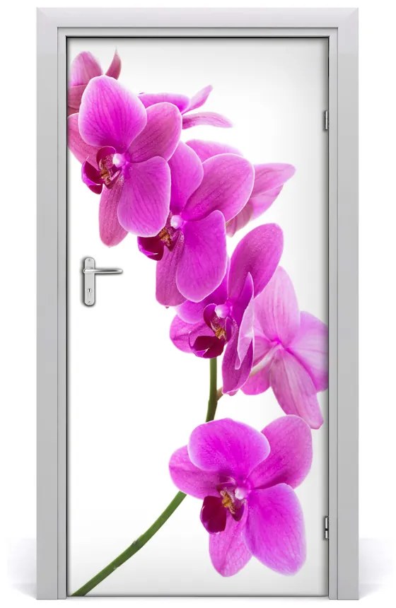 Fototapeta samolepiace ružová orchidea 85x205 cm