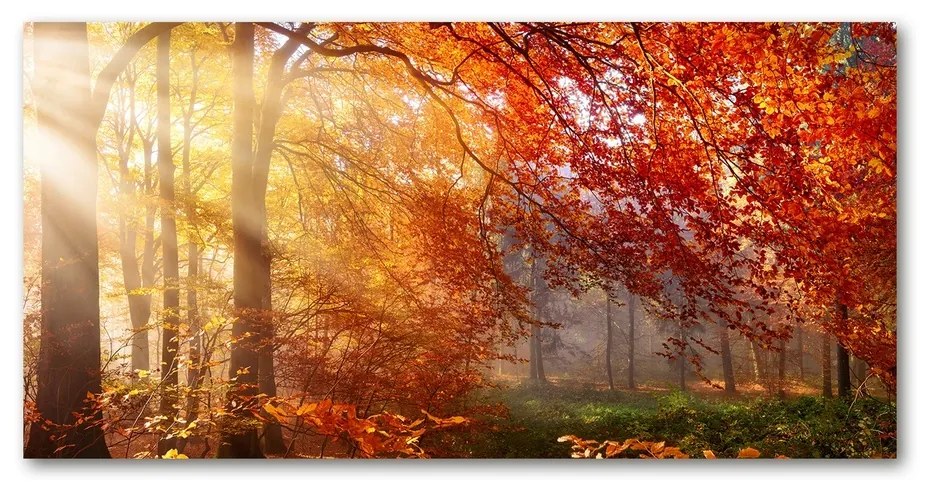 Foto obraz akrylové sklo Jesenný les pl-oa-140x70-f-122248477