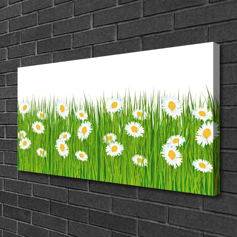 Obraz na plátne Tráva sedmokrásky príroda 140x70 cm