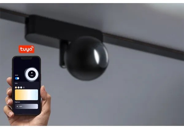 Rabalux 70130 - LED Stm. bod. sviet. do 1-fáz. lišt. sys. LiTrack 5W/24V