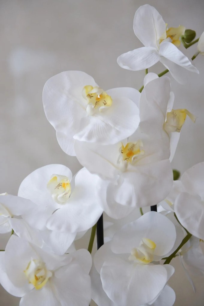 Umelá orchidea ORCHIDELIS, plast, výška 87 cm, biela