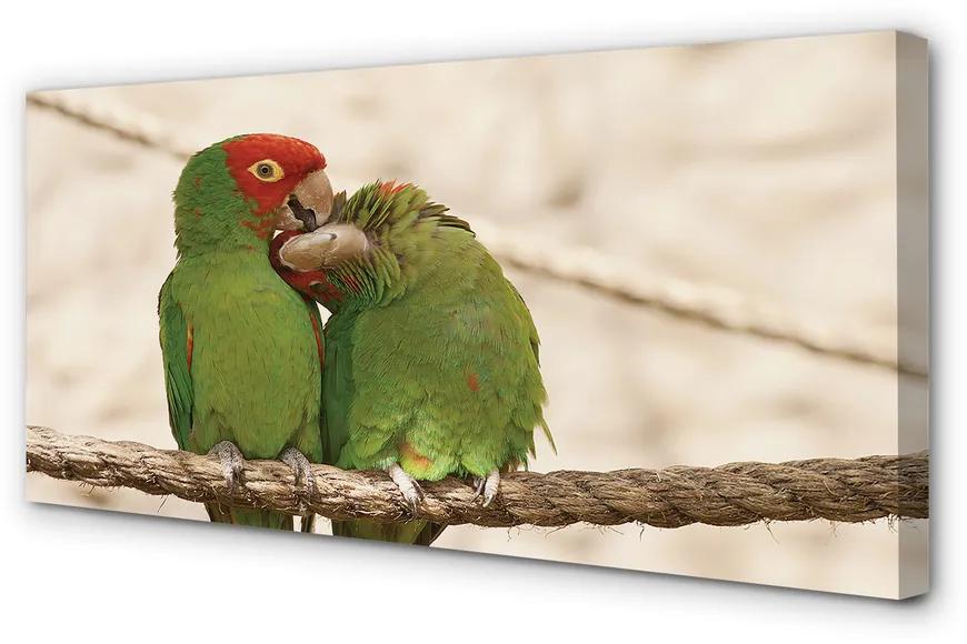 Obraz na plátne zelené papagáje 120x60 cm