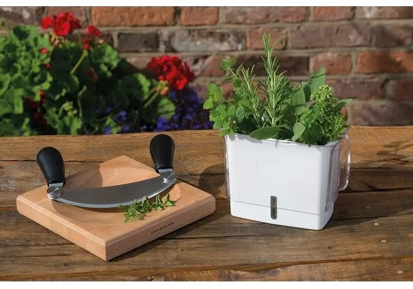 Cole&Mason - Nádoba na uchovanie rezaných byliniek