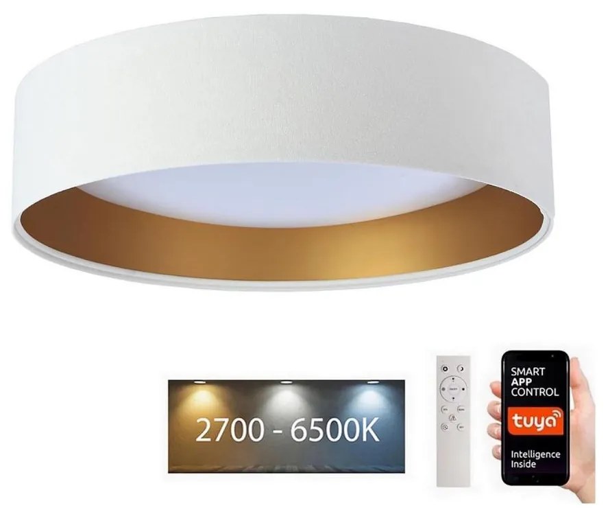 BPS Koncept LED Stropné svietidlo SMART GALAXY LED/24W/230V Wi-Fi Tuya biela/zlatá + DO BS0509