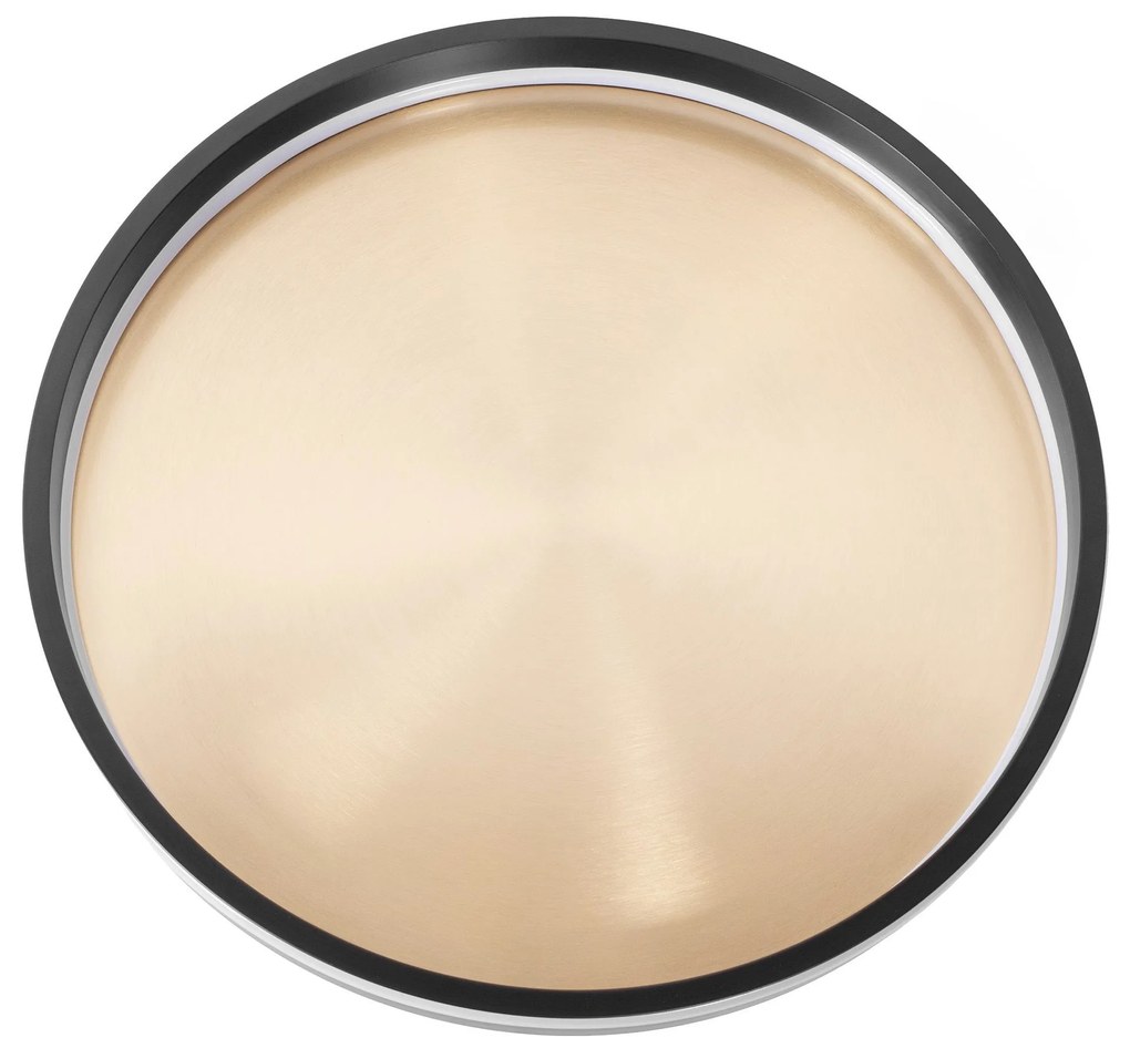 Toolight Toolight, LED stropné svietidlo 40cm, 22W, APP1464, čierna-zlatá, OSW-07981