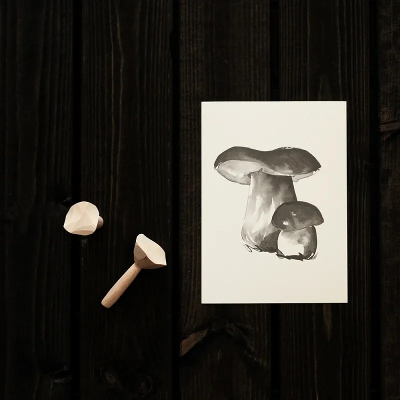 Plagát Porcini 30x40