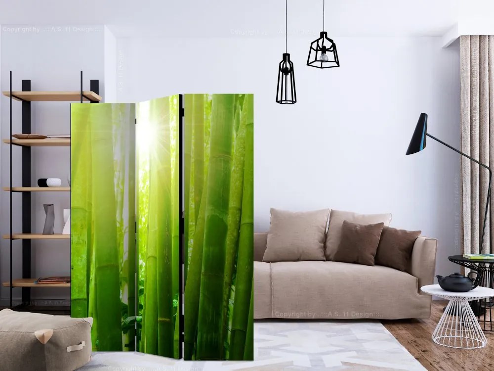 Artgeist Paraván - Sun and bamboo [Room Dividers]