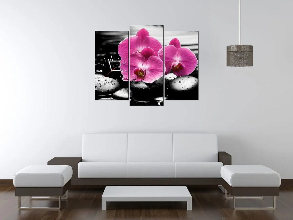 Gario Obraz s hodinami Krásna orchidea medzi kameňmi - 3 dielny Rozmery: 90 x 30 cm