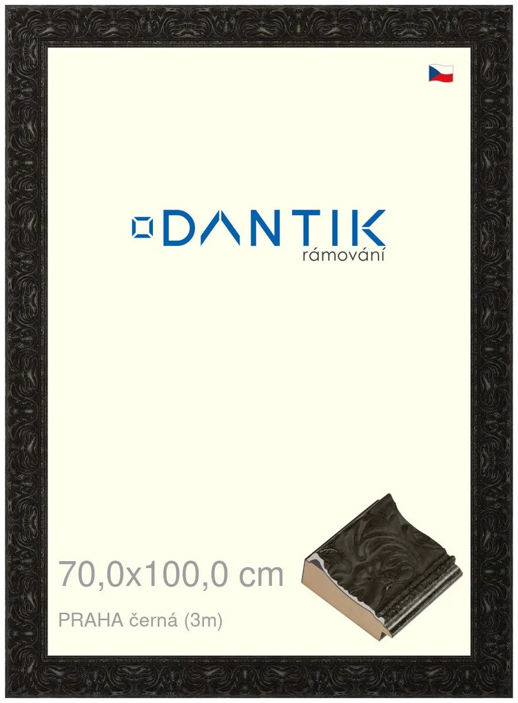 DANTIK rám na obraz 70x100 | PRAHA černá (Plexi Čiré)