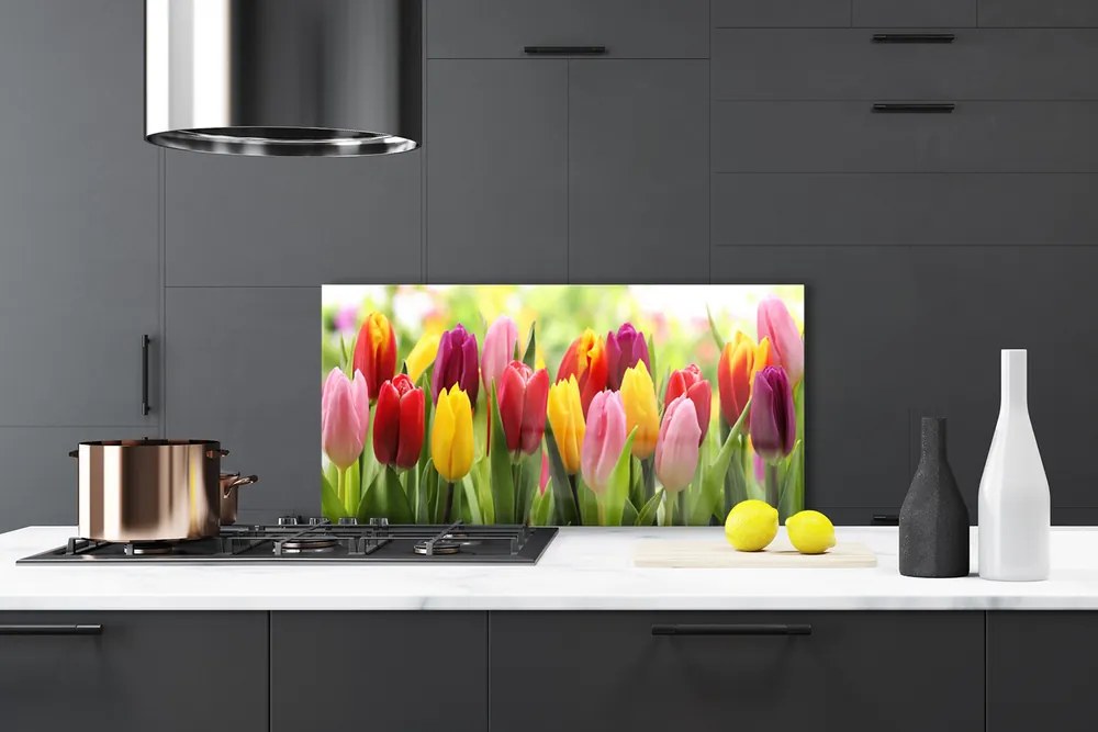 Sklenený obklad Do kuchyne Tulipány kvety príroda 120x60 cm