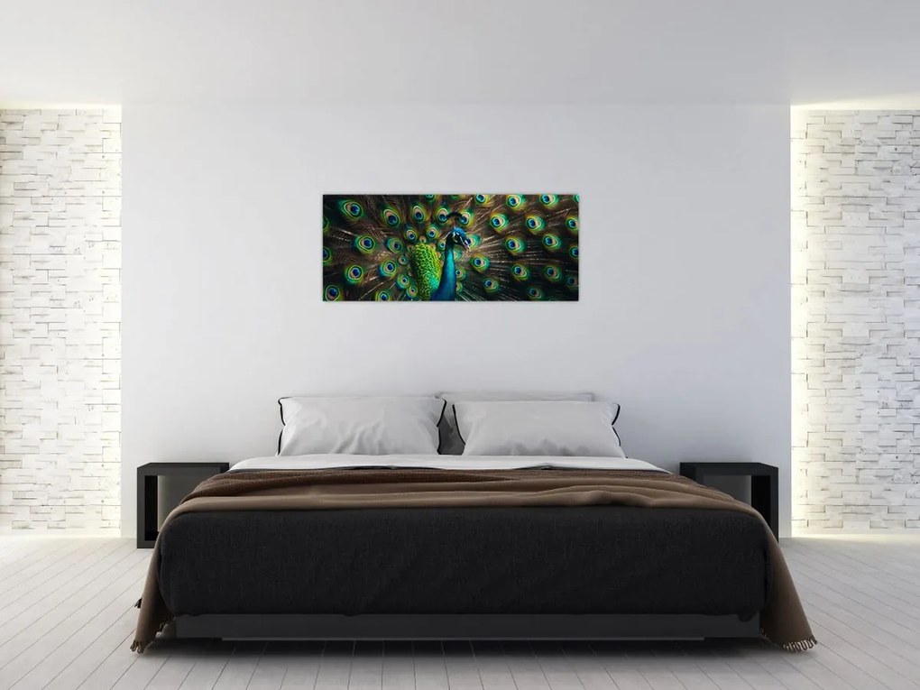 Obraz – Páv (120x50 cm)