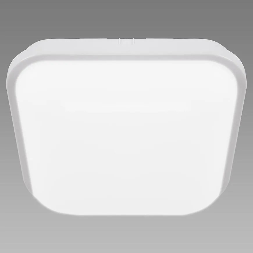 Stropná lampa Filip LED D 24W White 4000K 03821