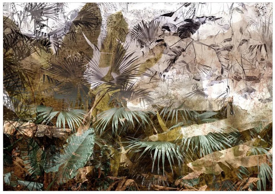 Fototapeta - V dažďovom pralese 250x175 + zadarmo lepidlo