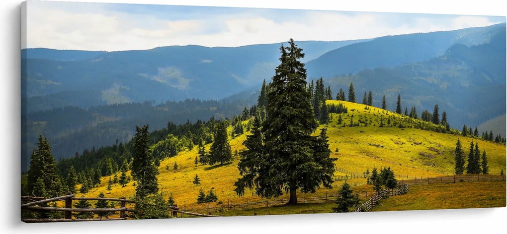 Obraz - Horská lúka (120x50 cm)