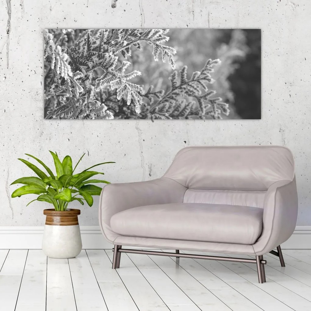 Obraz - Smrekový les (120x50 cm)