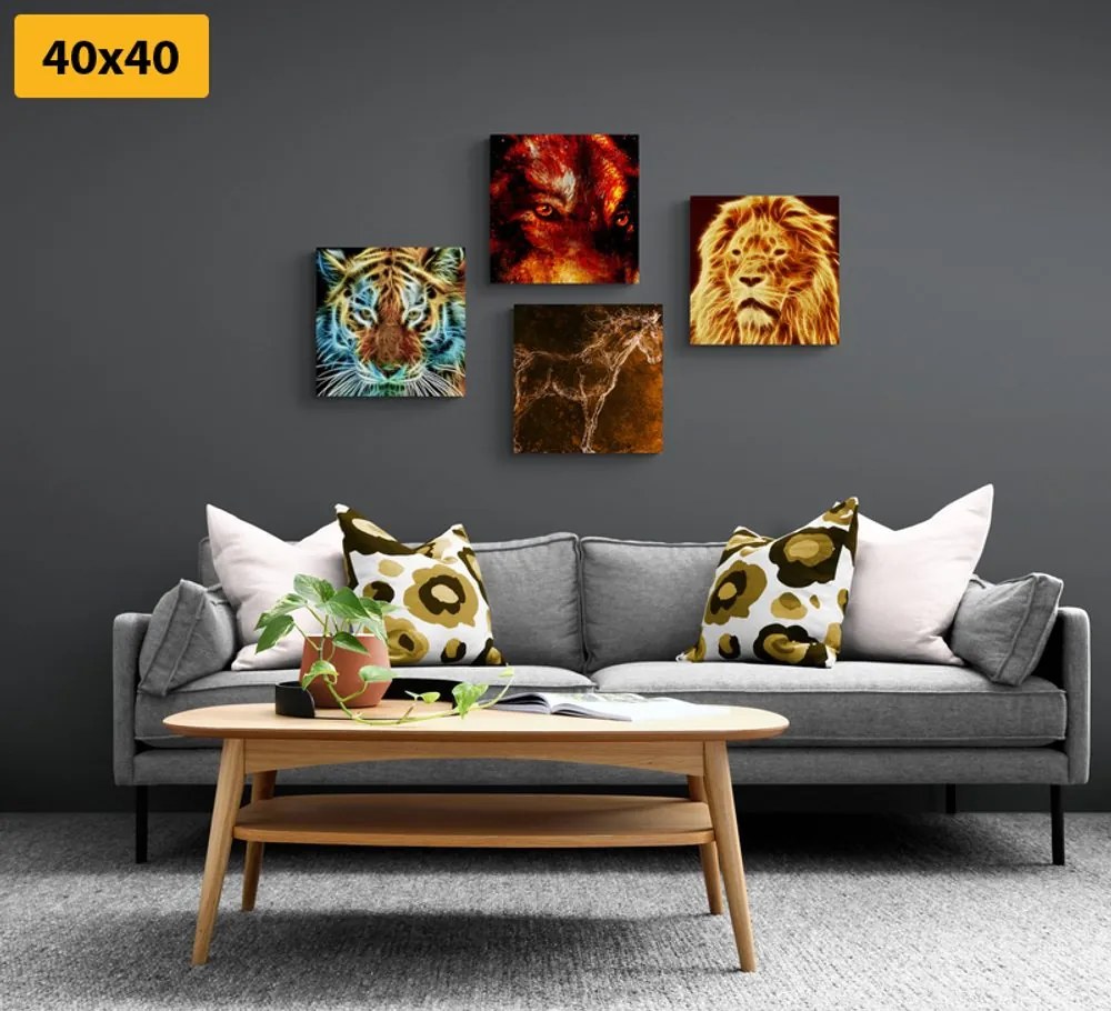 Set obrazov tajomná abstrakcia zvierat Varianta: 4x 40x40
