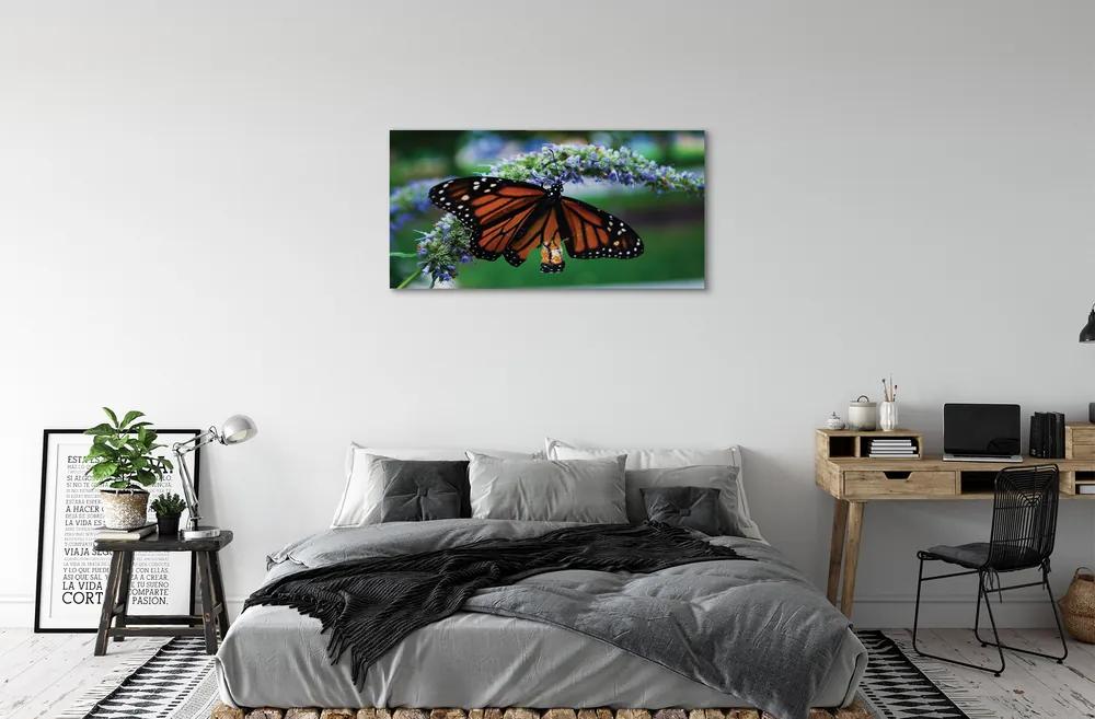 Obraz na plátne Motýľ na kvetine 140x70 cm