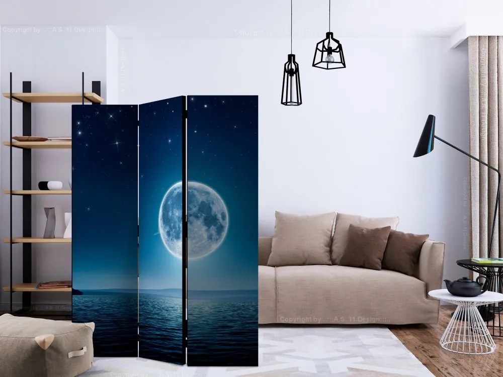 Artgeist Paraván - Moonlit night [Room Dividers]