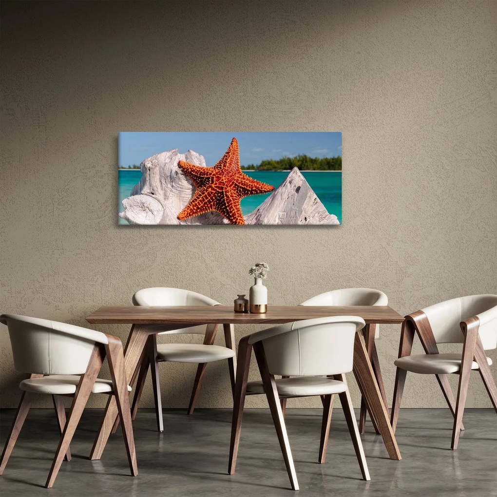 Obraz morskej hviezdice (120x50 cm)