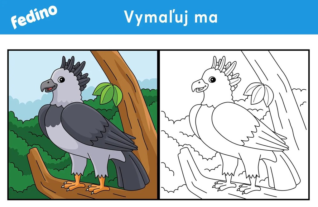 Omaľovánky – balík 2(20ks) – platený