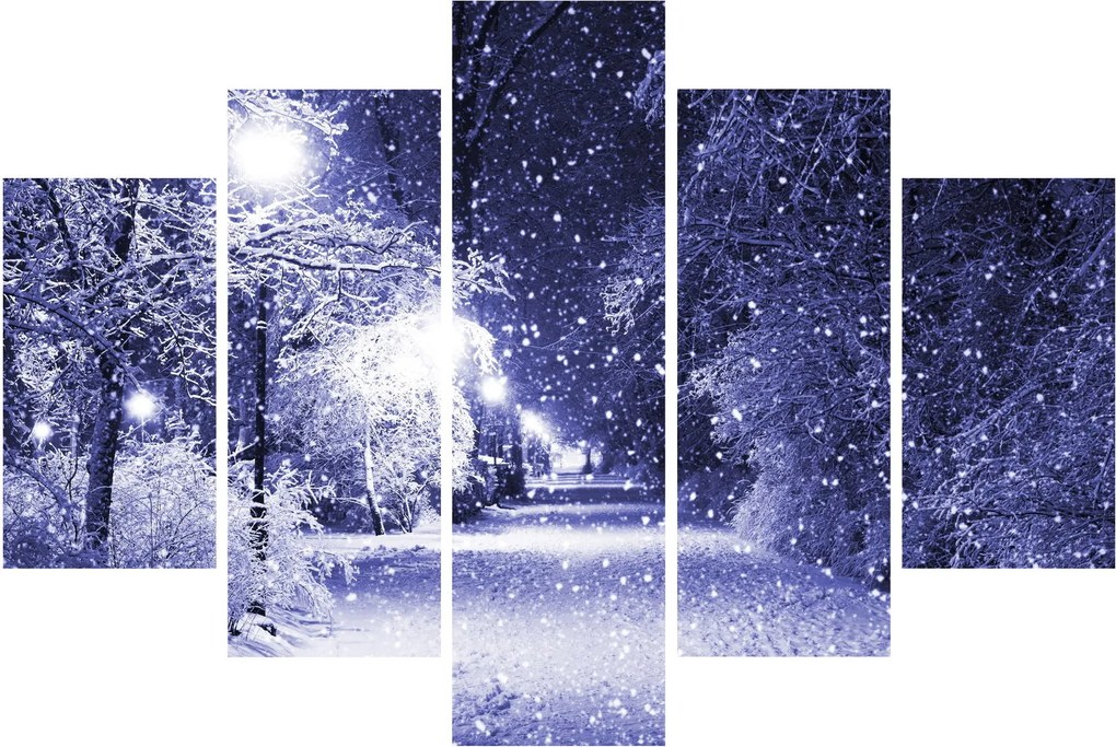 Obraz - Čarovná zimná noc (150x105 cm)
