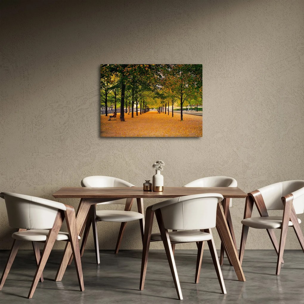 Obraz aleje jesenných stromov (70x50 cm)