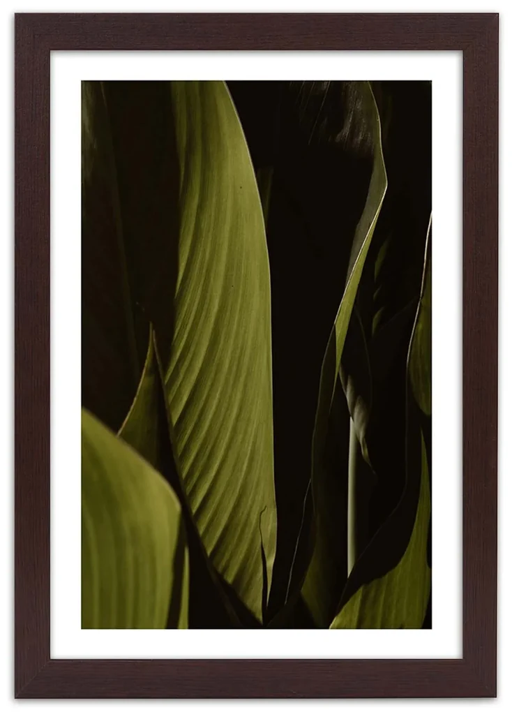 Gario Plagát Zelené listy trópov Farba rámu: Bez rámu, Rozmery: 40 x 60 cm