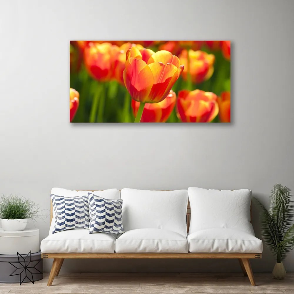 Obraz Canvas Tulipány kvety rastlina 100x50 cm