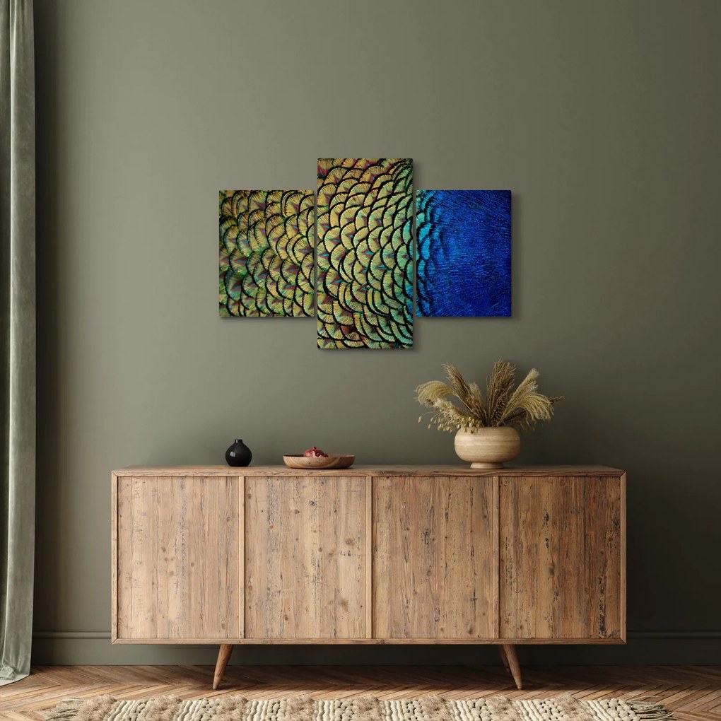 Obraz - Pávie perie (90x60 cm)