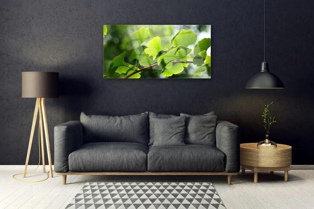 Skleneny obraz Vetvy listy príroda strom 100x50 cm