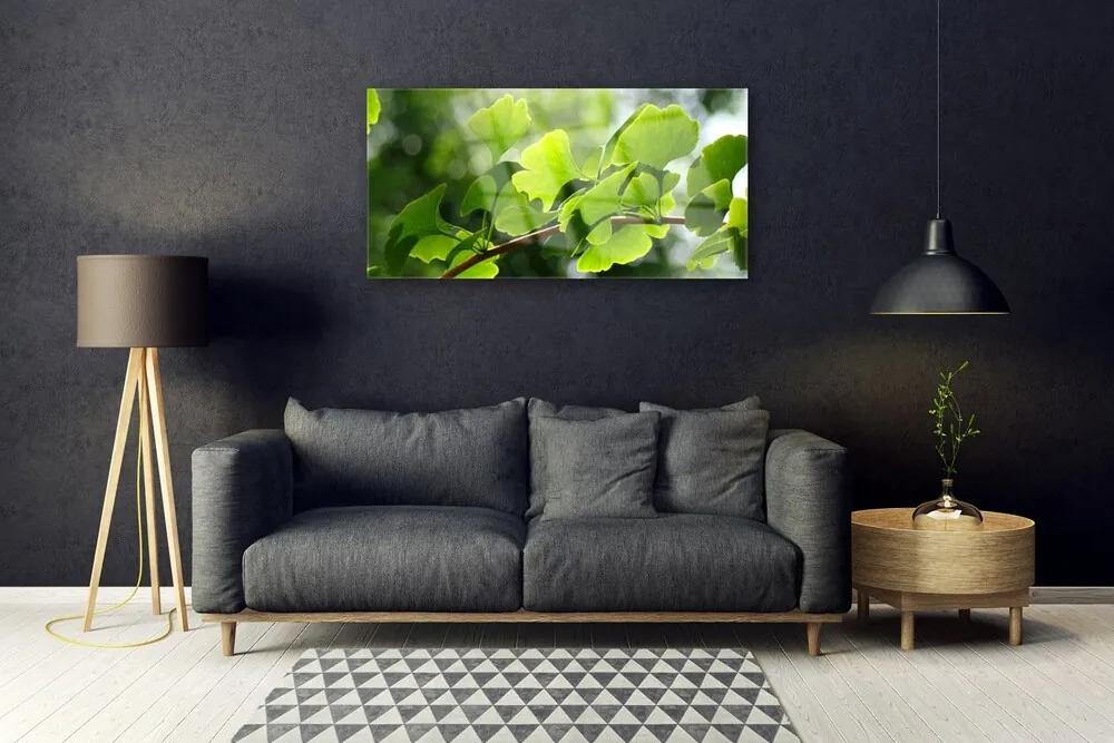 Skleneny obraz Vetvy listy príroda strom 140x70 cm
