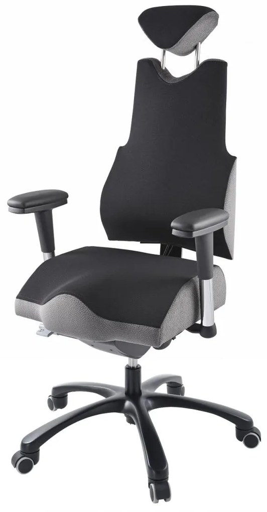 PROWORK Zdravotná ergonomická stolička THERAPIA BODY L COM 3610