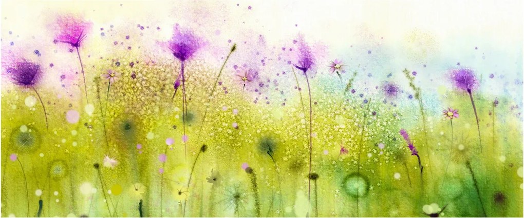 Obraz - Lúčne kvety (120x50 cm)