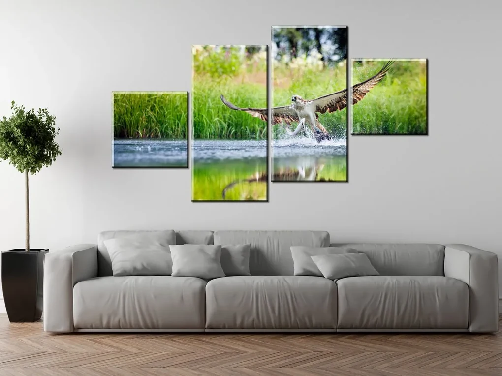 Gario Obraz na plátne Orliak morský poľuje - 4 dielny Rozmery: 160 x 90 cm