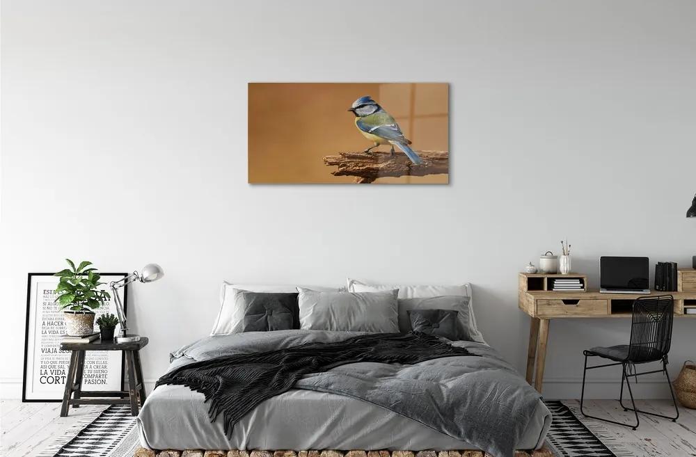 Sklenený obraz Vták 125x50 cm