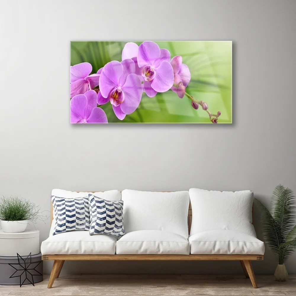 Skleneny obraz Vstavač orchidea kvety 100x50 cm